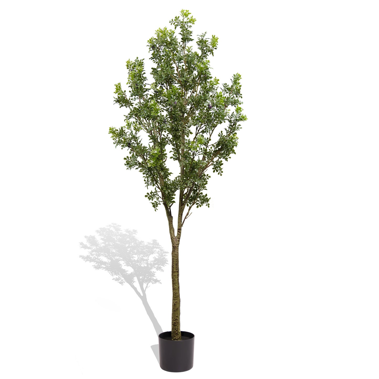 Simulated courtyard garden green plants