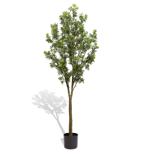 Simulated courtyard garden green plants